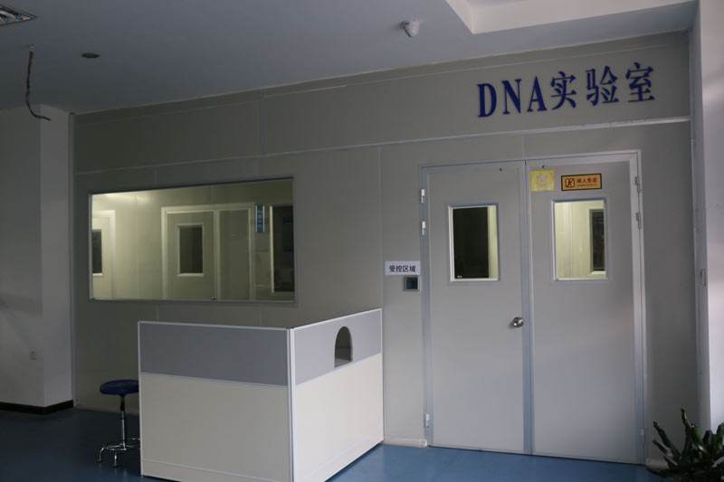 親子鑒定費用大概需要多少